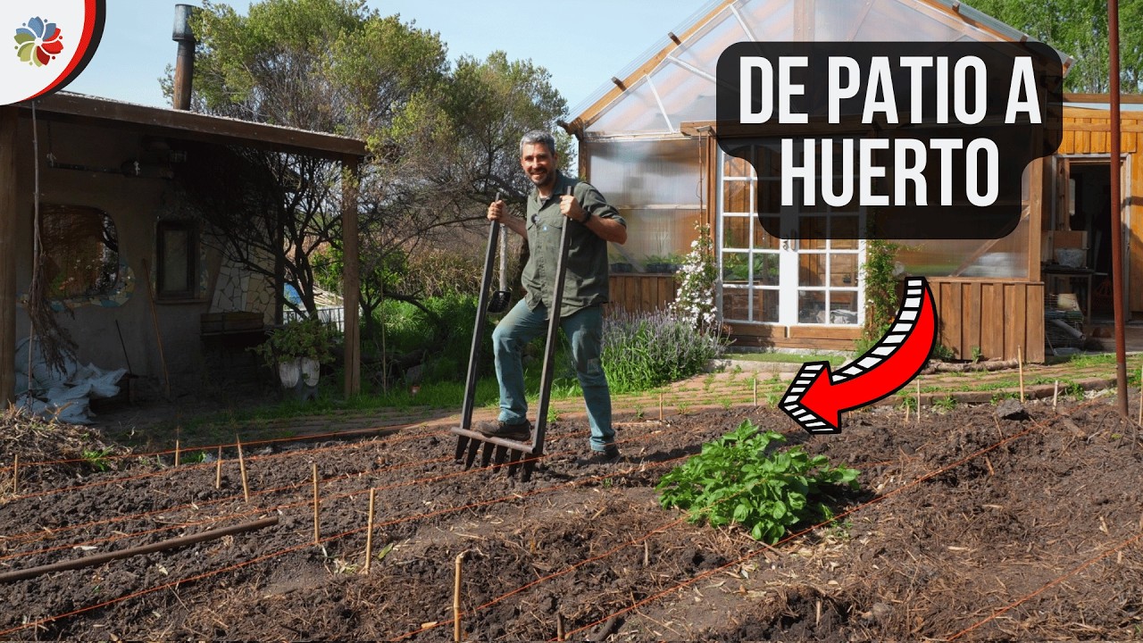 Precargar imagen