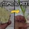 Privado: [ID: AIsPeYfexzY] Youtube Automatic