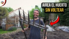 Privado: [ID: SxJEoPD-wAg] Youtube Automatic