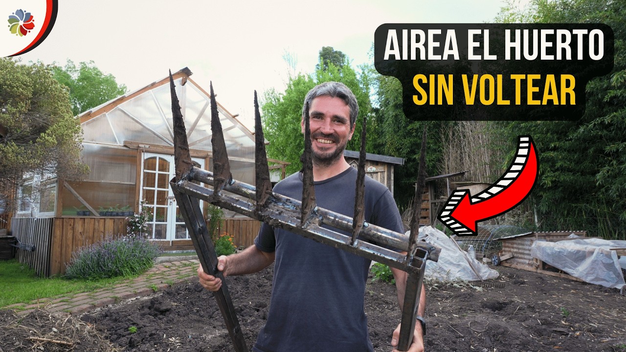 Precargar imagen