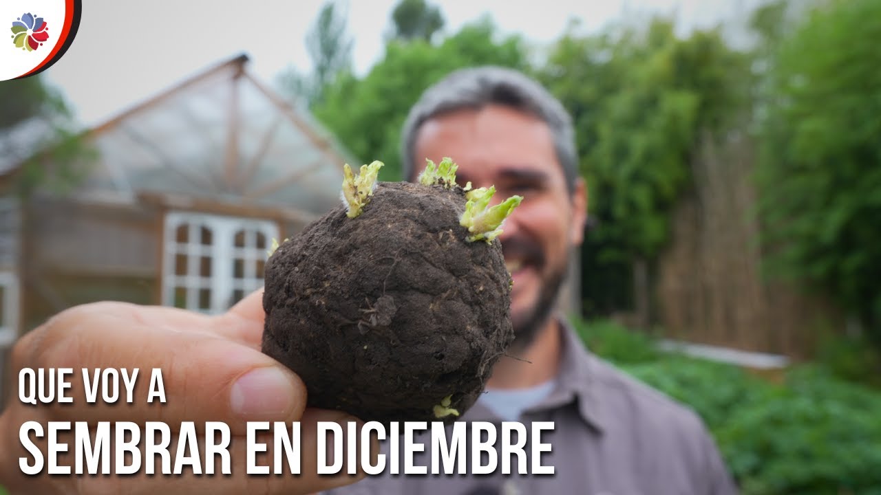 Precargar imagen