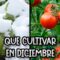 Privado: [ID: A3C52TSoEsw] Youtube Automatic