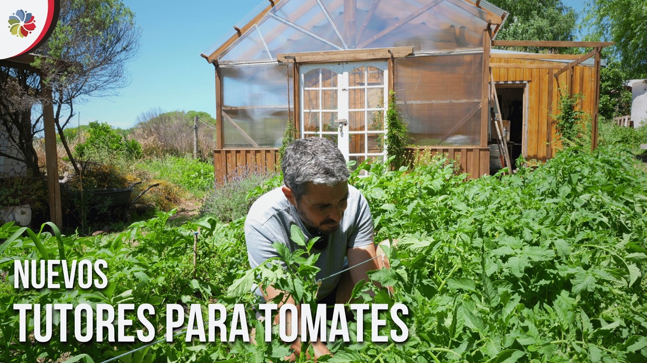 Precargar imagen