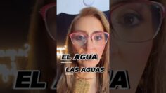 Privado: [ID: gU8SfN-dgJI] Youtube Automatic