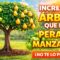 Privado: [ID: lzWWZVDEti0] Youtube Automatic