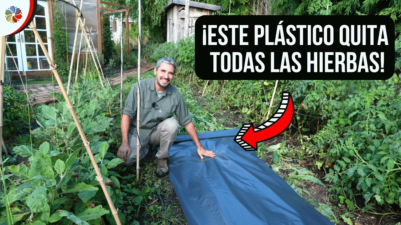 Precargar imagen