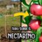Privado: [ID: gKZl_RC5Kvg] Youtube Automatic