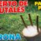 Privado: [ID: 6hTsrs_x8Nc] Youtube Automatic