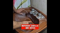 Privado: [ID: etPahJXD0dI] Youtube Automatic