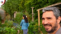 Privado: [ID: jhoV7kS5NMw] Youtube Automatic