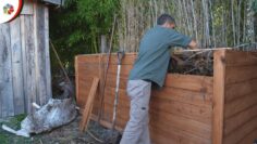 Privado: [ID: nuWTFheq9Lc] Youtube Automatic