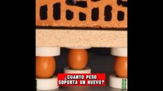 Privado: [ID: uB1OCKrqaHo] Youtube Automatic