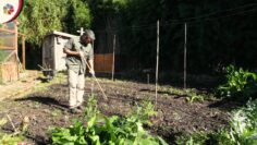 Privado: [ID: IOfD80XM8Y8] Youtube Automatic