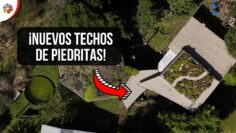 Privado: [ID: lfvCoGf3Bs0] Youtube Automatic