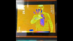 Privado: [ID: PWanMT1-OcM] Youtube Automatic