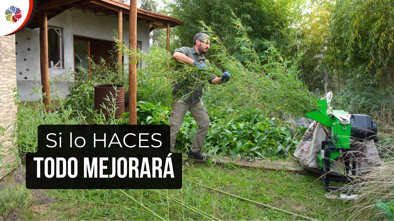 Precargar imagen