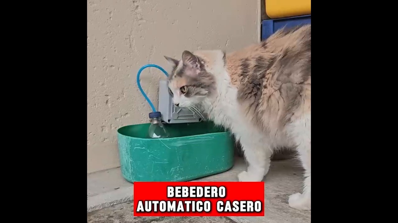 Precargar imagen