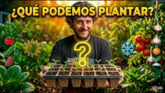 Privado: [ID: fSaCKuvGrz4] Youtube Automatic