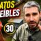 Privado: [ID: xRRzSSZxfWo] Youtube Automatic