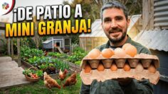 Privado: [ID: Xs9c8oCI9jw] Youtube Automatic