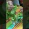 Privado: [ID: 7feCBeaT-io] Youtube Automatic