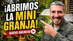 Privado: [ID: eqq-LVE05lw] Youtube Automatic