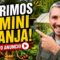 Privado: [ID: eqq-LVE05lw] Youtube Automatic