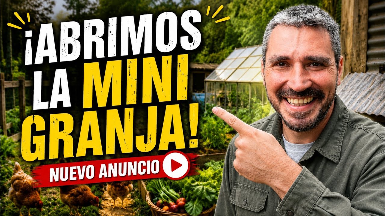Precargar imagen