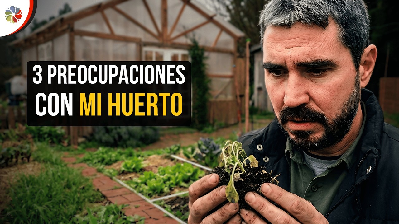 Precargar imagen