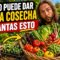 Privado: [ID: iVUMixydUVg] Youtube Automatic