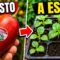 Privado: [ID: KU_QdlkY6Fo] Youtube Automatic