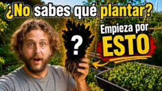 Privado: [ID: RHcVYjF-jiM] Youtube Automatic