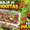 Privado: [ID: FztCAZfenqo] Youtube Automatic