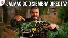 Privado: [ID: TQ5qLKKSXBo] Youtube Automatic