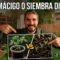 Privado: [ID: TQ5qLKKSXBo] Youtube Automatic