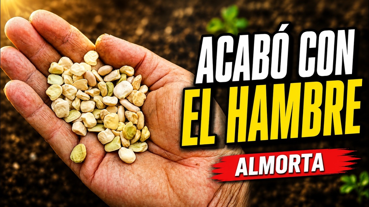 Precargar imagen